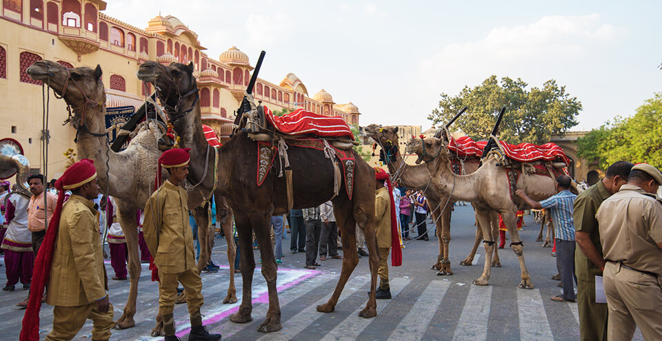 गंगौर महोत्सव 2018