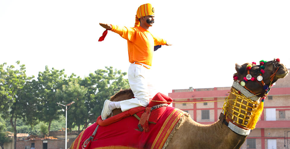 मारवाड़ महोत्सव 2018