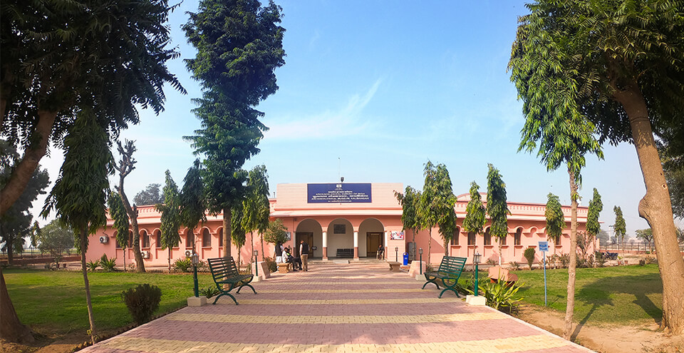 काली बंगा