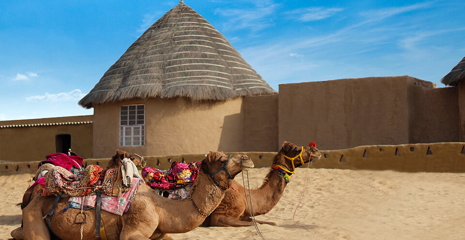 Bikaner Camel Festival 2019