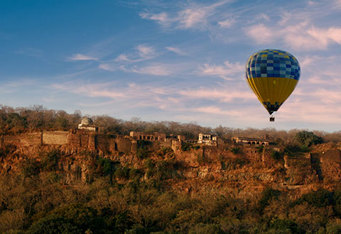 Ranthambore
