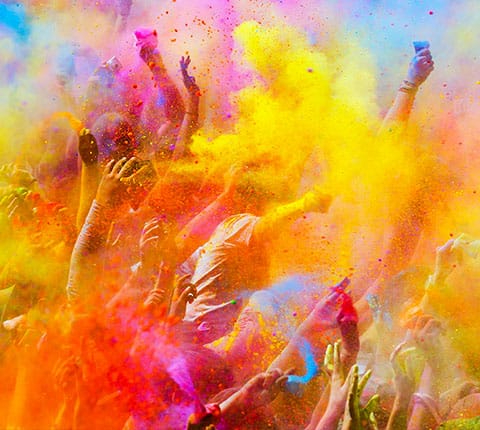 The many colours of Dhulandi