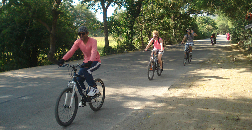 Cycling Tour in Udaipur_4